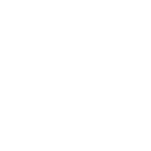 ZenChic Active Wear